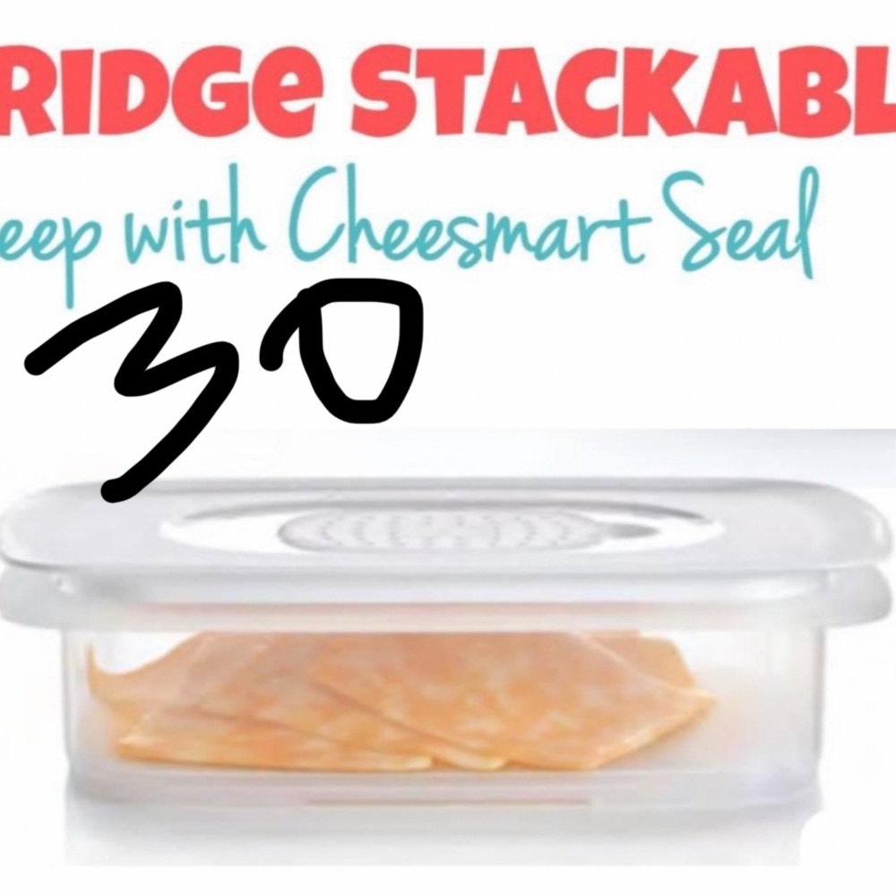 Tupperware Cheesmart Seal Container - Clear
